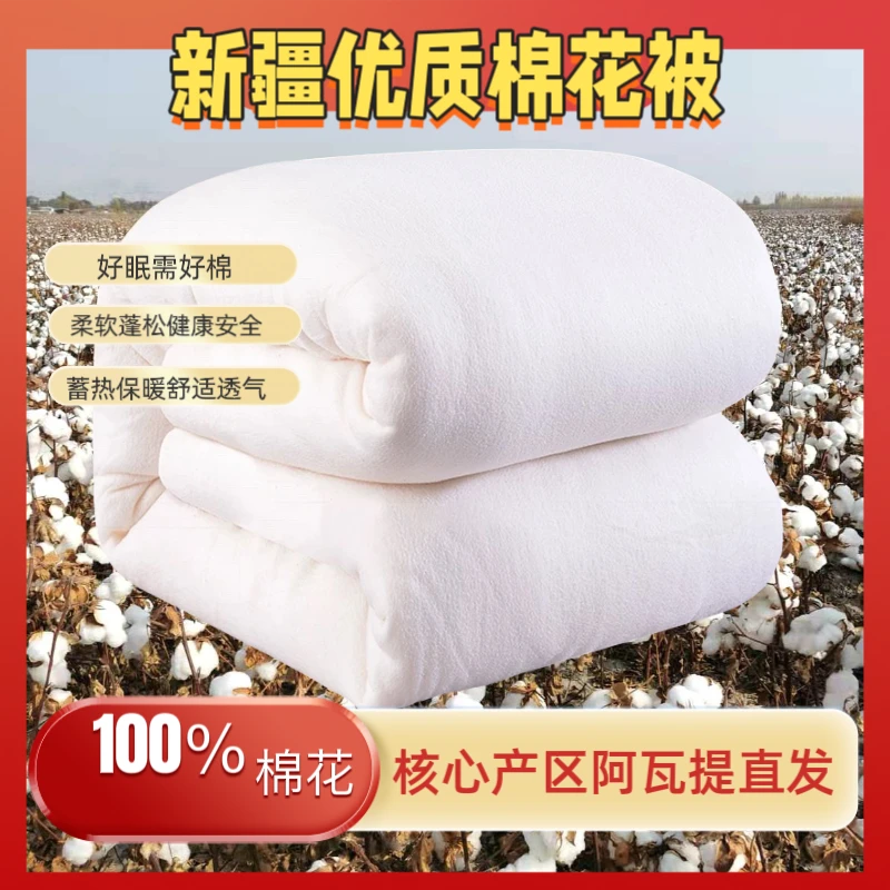 新疆棉被棉花被长绒棉柔软蓬松冬被被子褥子床垫鱼鳞网纱3号