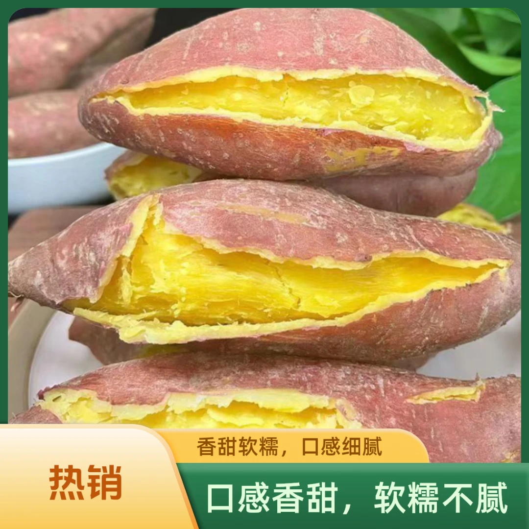 广东茂名板栗红薯粉糯地瓜新鲜饱满板栗番薯红薯红皮黄心皮薄5斤