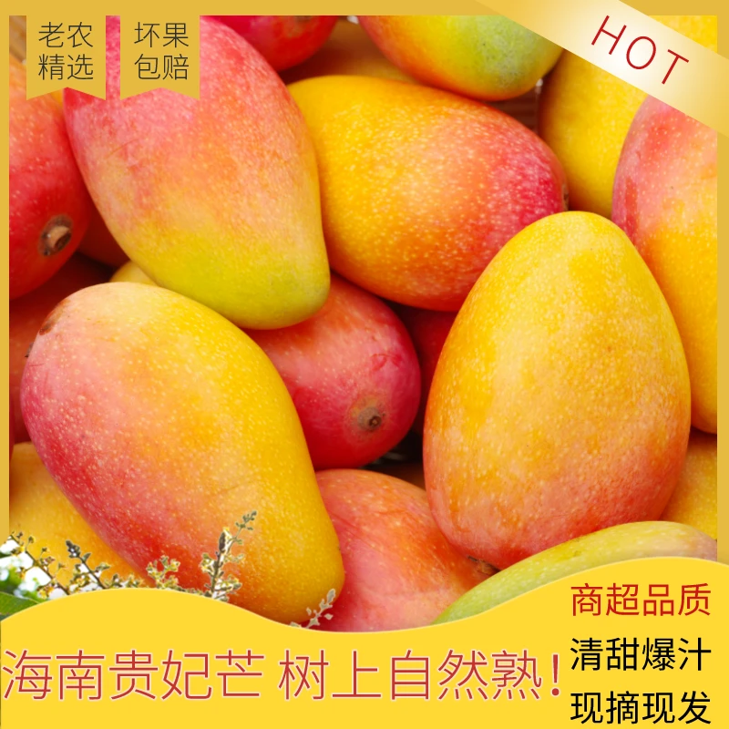 海南贵妃芒芒果新鲜当季热带水香甜果树上熟整箱甜芒2/3/4.5/8斤