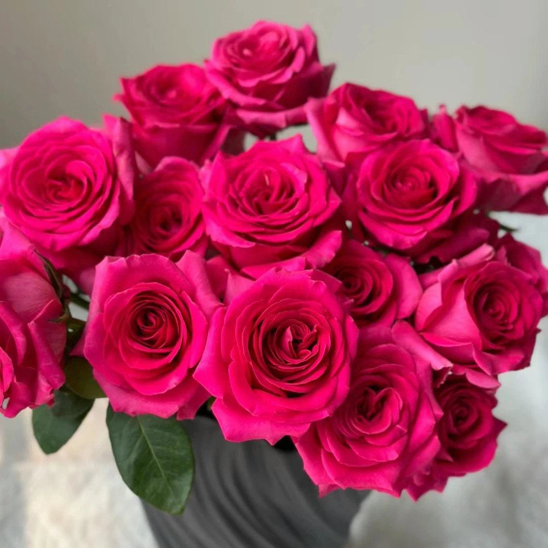 【弗洛伊德】云南鲜花基地直玫瑰花鲜花直播间现场直播卖花赠品养护