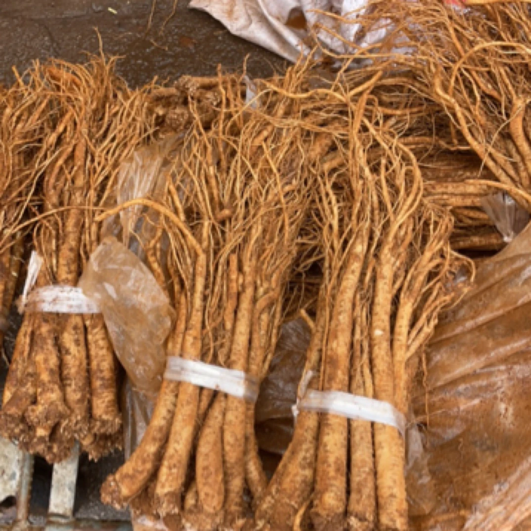 【云南臭参】农家精选土特产