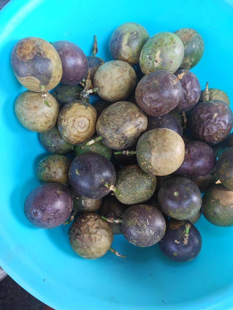 【云南百香果】云南山货土特产