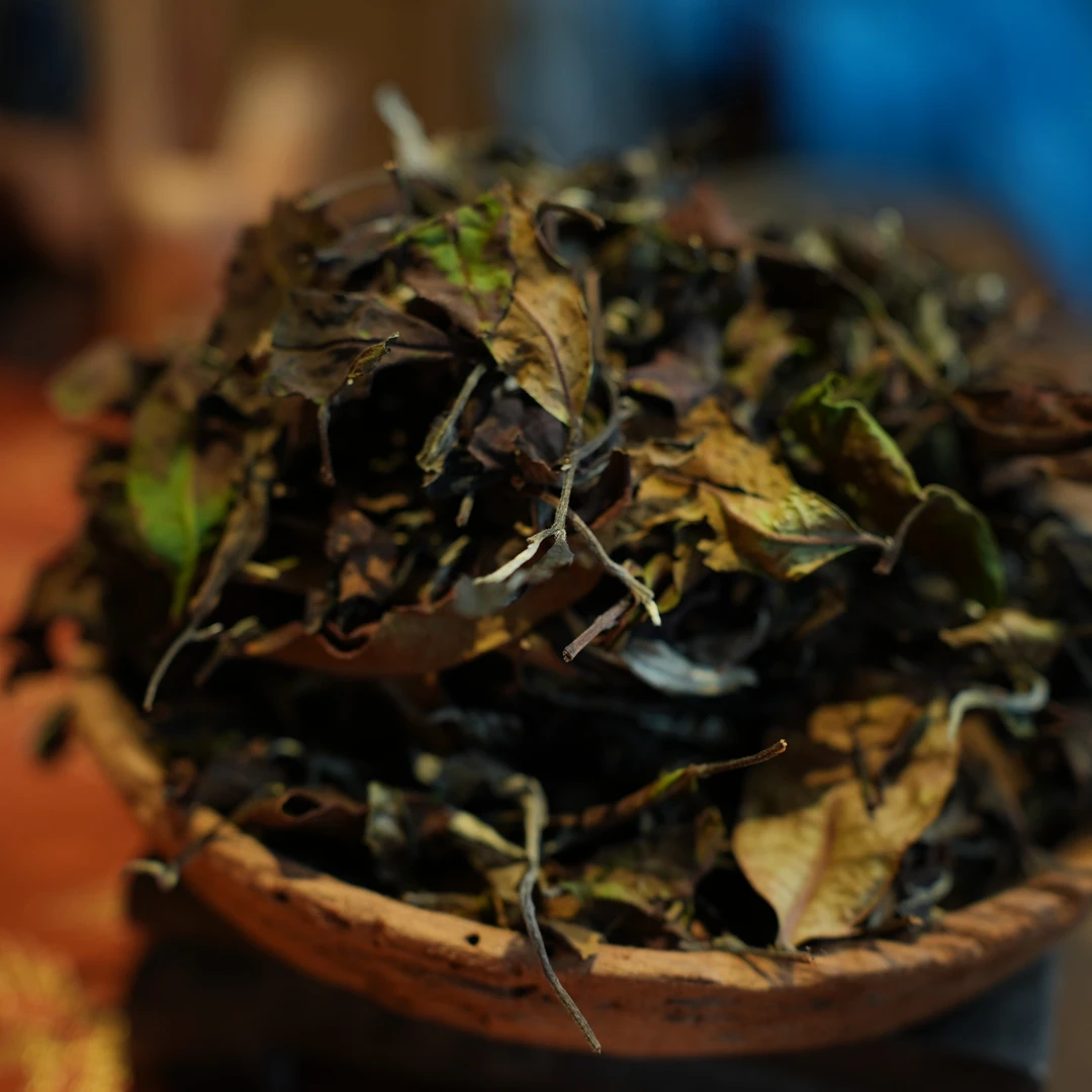 凤凰窝 古树白茶散茶 云南白茶