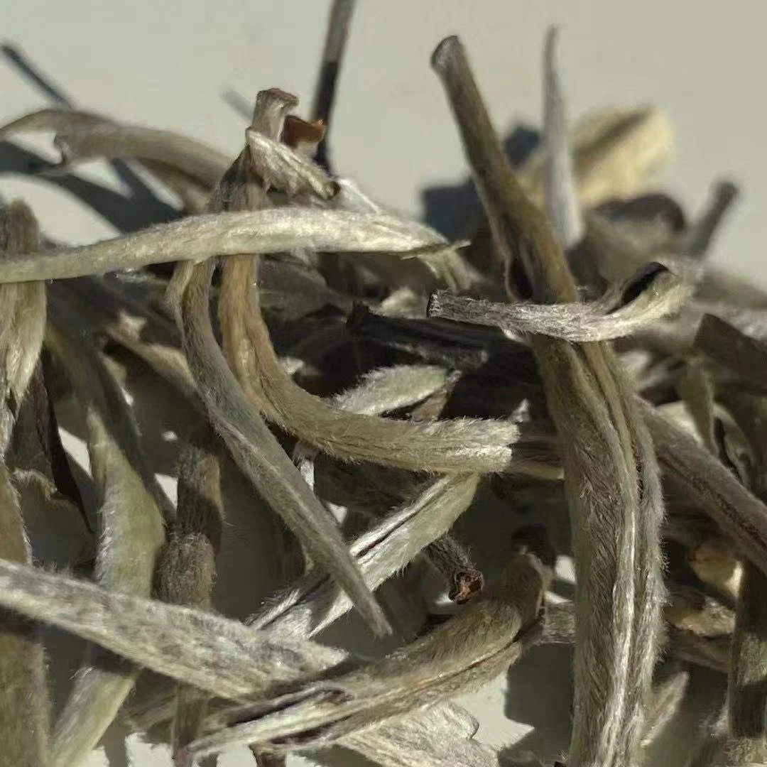 2024年荒野白毫银针散茶 云南景谷大白毫