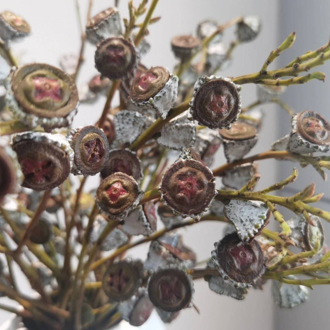 花中圆 钻石尤加利老果，高级感复古色调