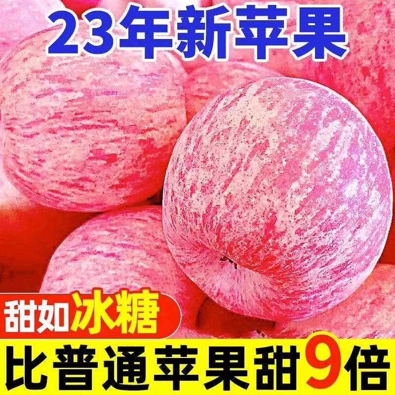 【半价抢】正宗红富士苹果1/10斤头茬脆甜冰糖心当季新鲜孕妇水果