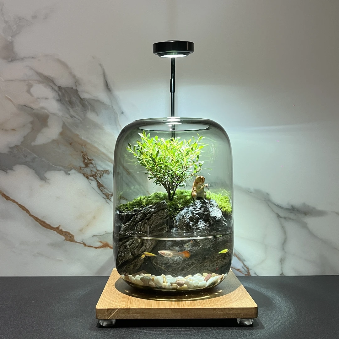山水之涧【年年有余】新款养鱼桌面绿植微景观家居办公室摆件