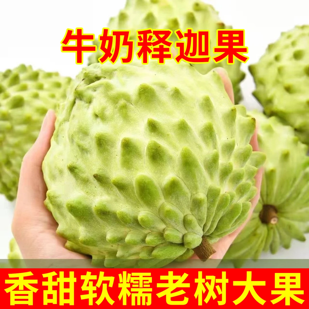 云南牛奶释迦果凤梨番荔枝新鲜应季水果超甜释迦果一整箱批发包邮