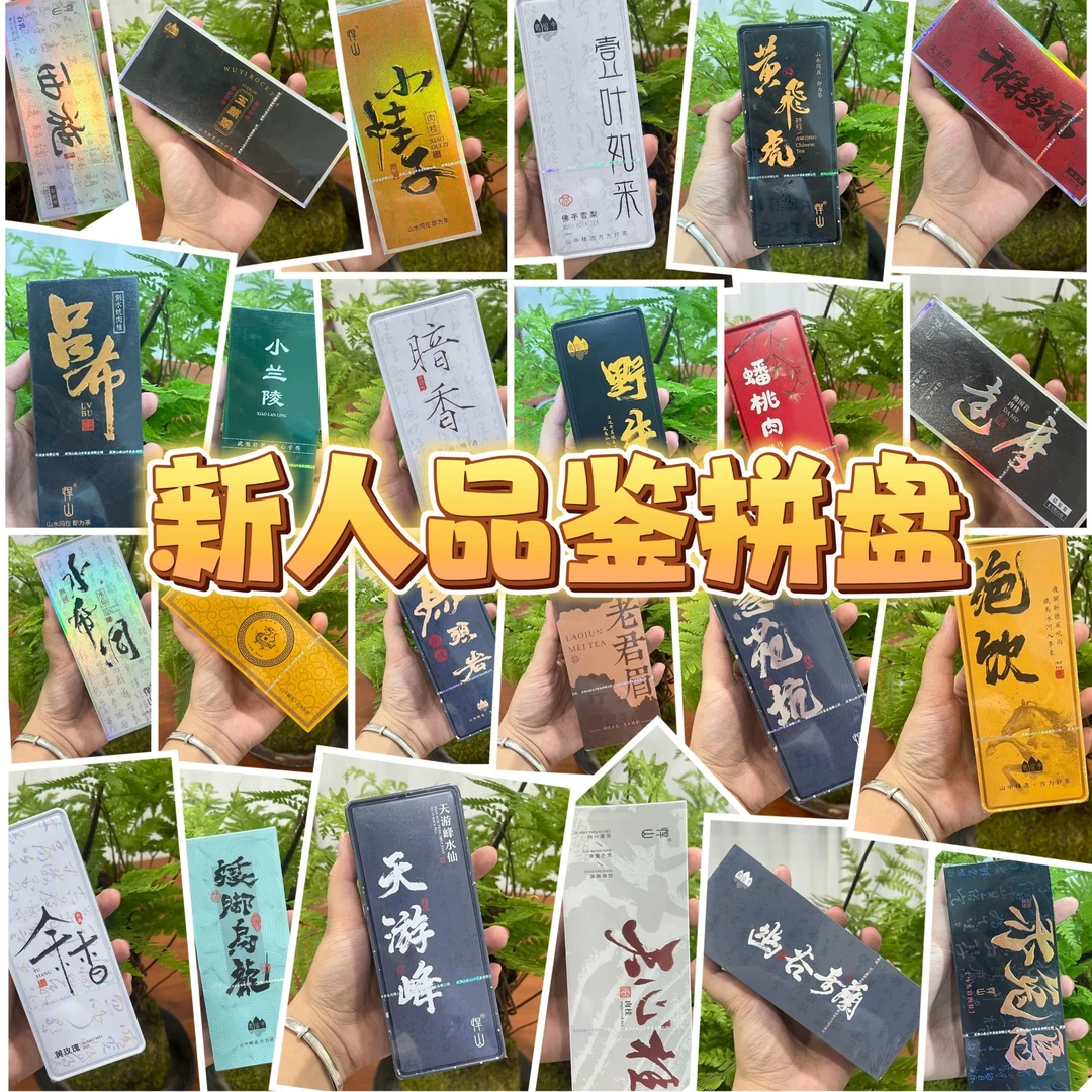 悍山【新人品鉴组合】武夷岩茶