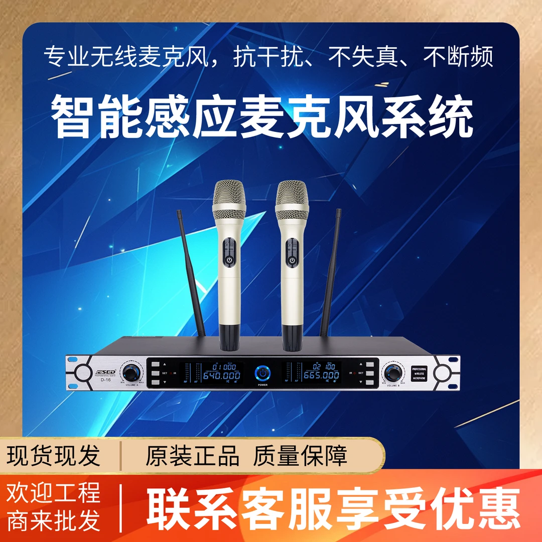 ESEDD-16 KTV话筒麦克风唱歌专业一拖二无线会议舞台演出演出ESED