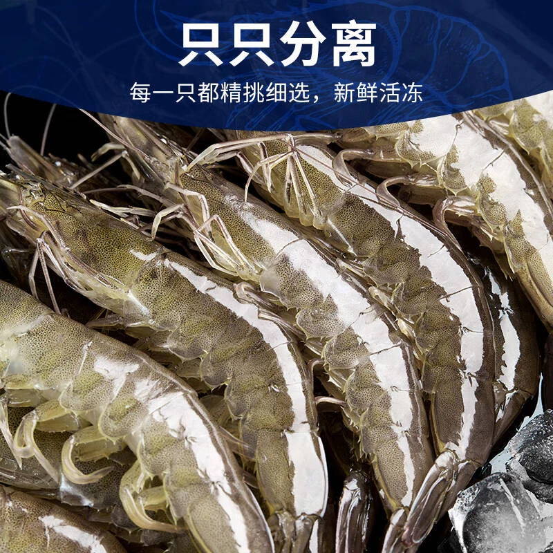 【小北满月感恩回馈】厄瓜多尔白虾 3040 盐冻大虾速冻海水养殖虾
