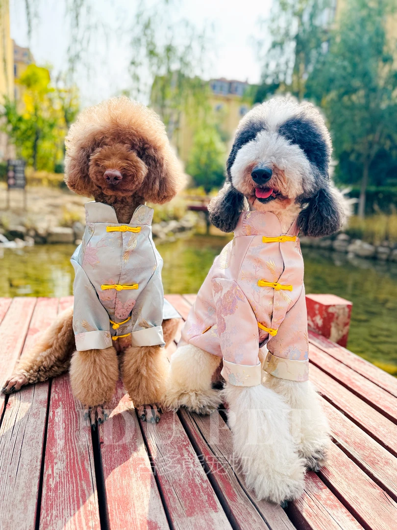 宠物狗狗衣服新年唐装喜庆新式汉服中国风过年大型犬巨贵秋田柴犬