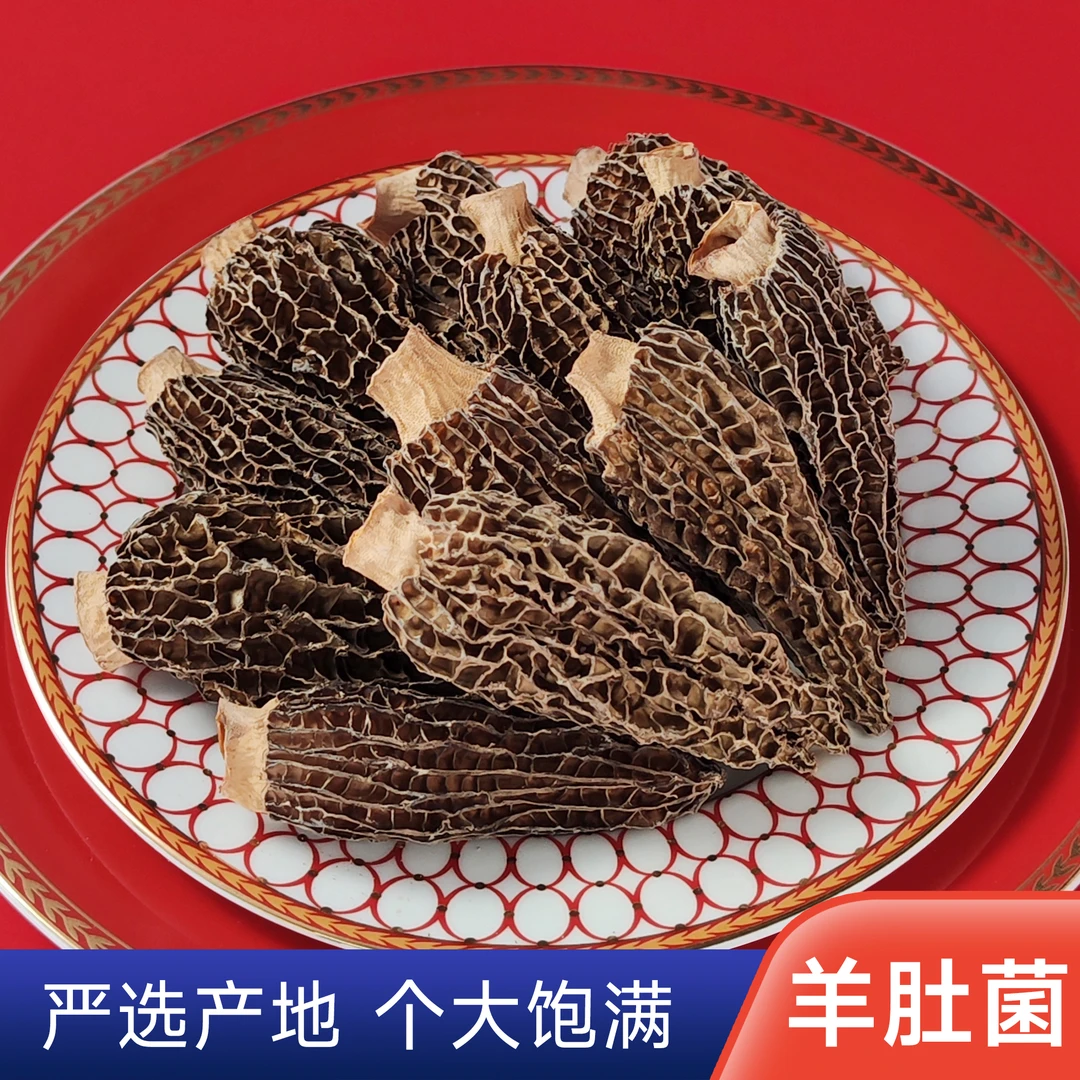 食用菌菇羊肚菌人工淡晒营养烹饪干燥干净肉厚饱满优选煲汤炒菜