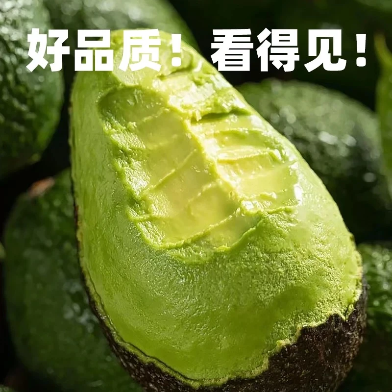 【森林奶油】云南哈斯牛油果4 6 8个装