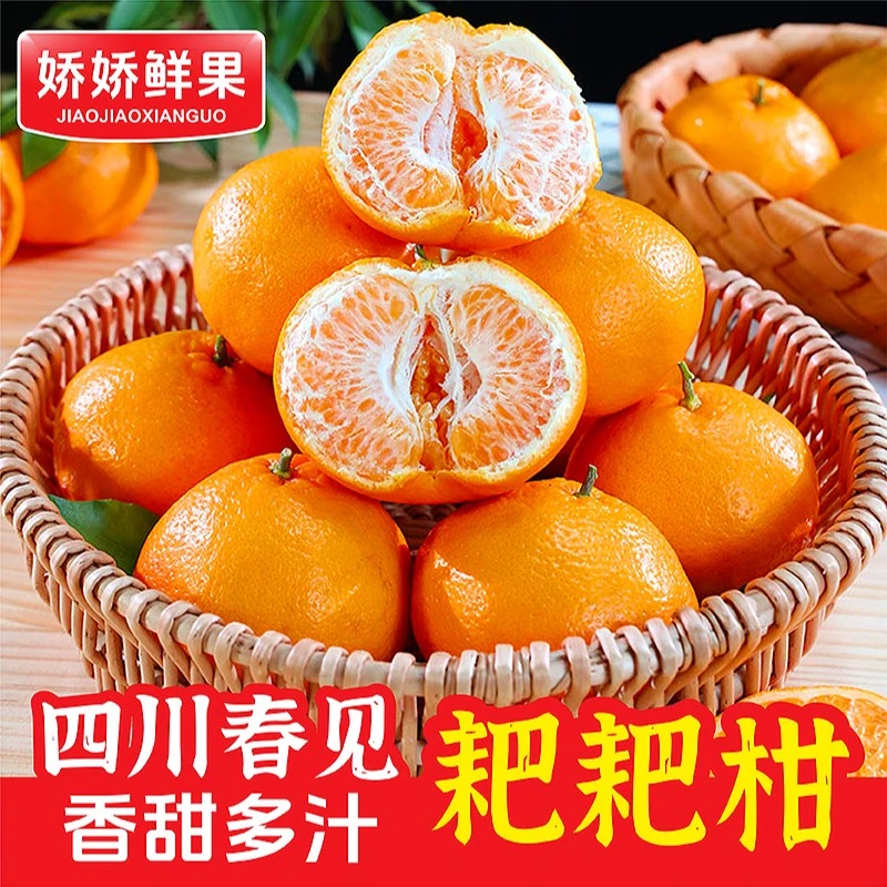 【与辉同行东方甄选】四川春见耙耙柑香甜多汁现摘优质新鲜水果采摘