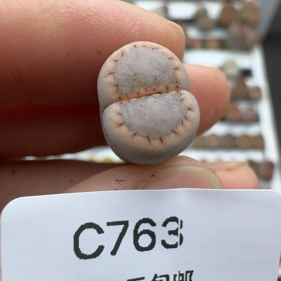 小****)39包邮763福利1111