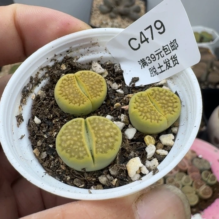 479哈哈哈哈哈哈哈哈