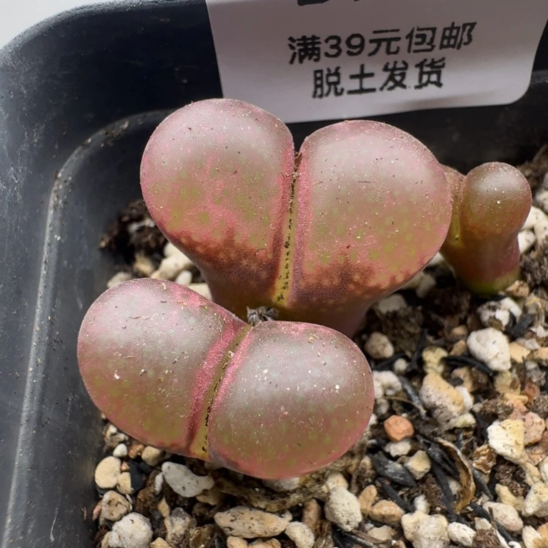 148哈哈哈哈哈哈哈哈哈哈