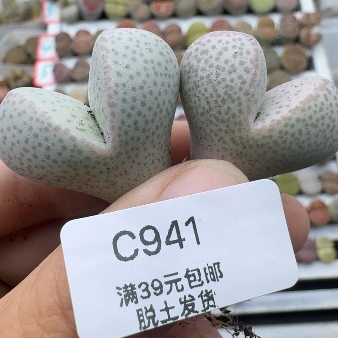 39包邮941福利1111