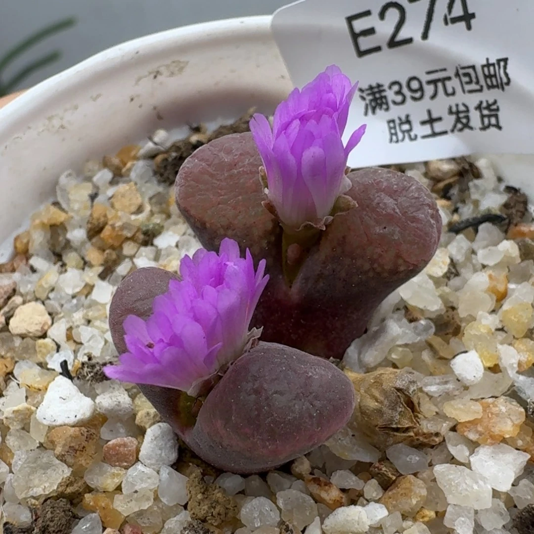 274哈哈哈哈哈哈哈哈哈哈