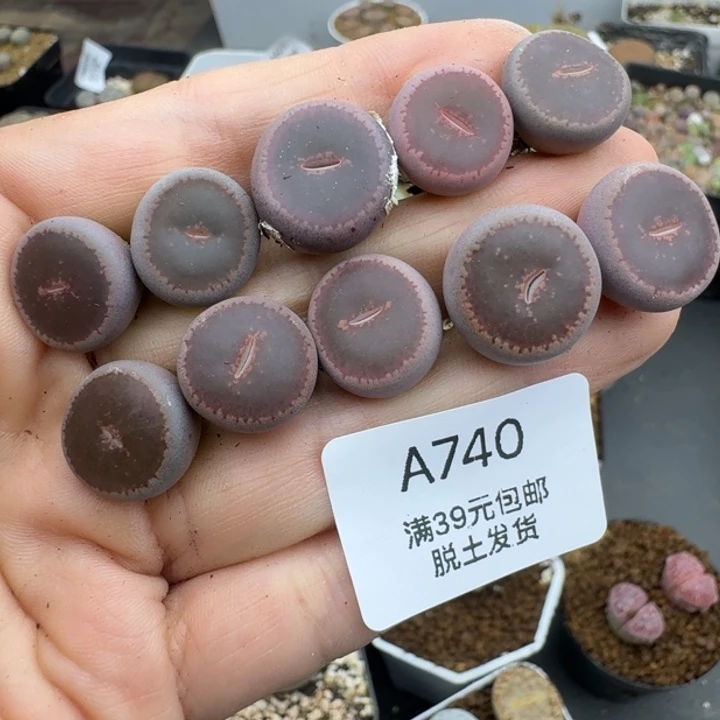 39包邮740号ko福利11111