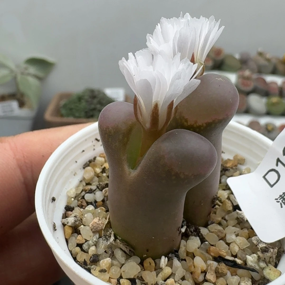 13哈哈哈哈哈哈哈哈哈哈