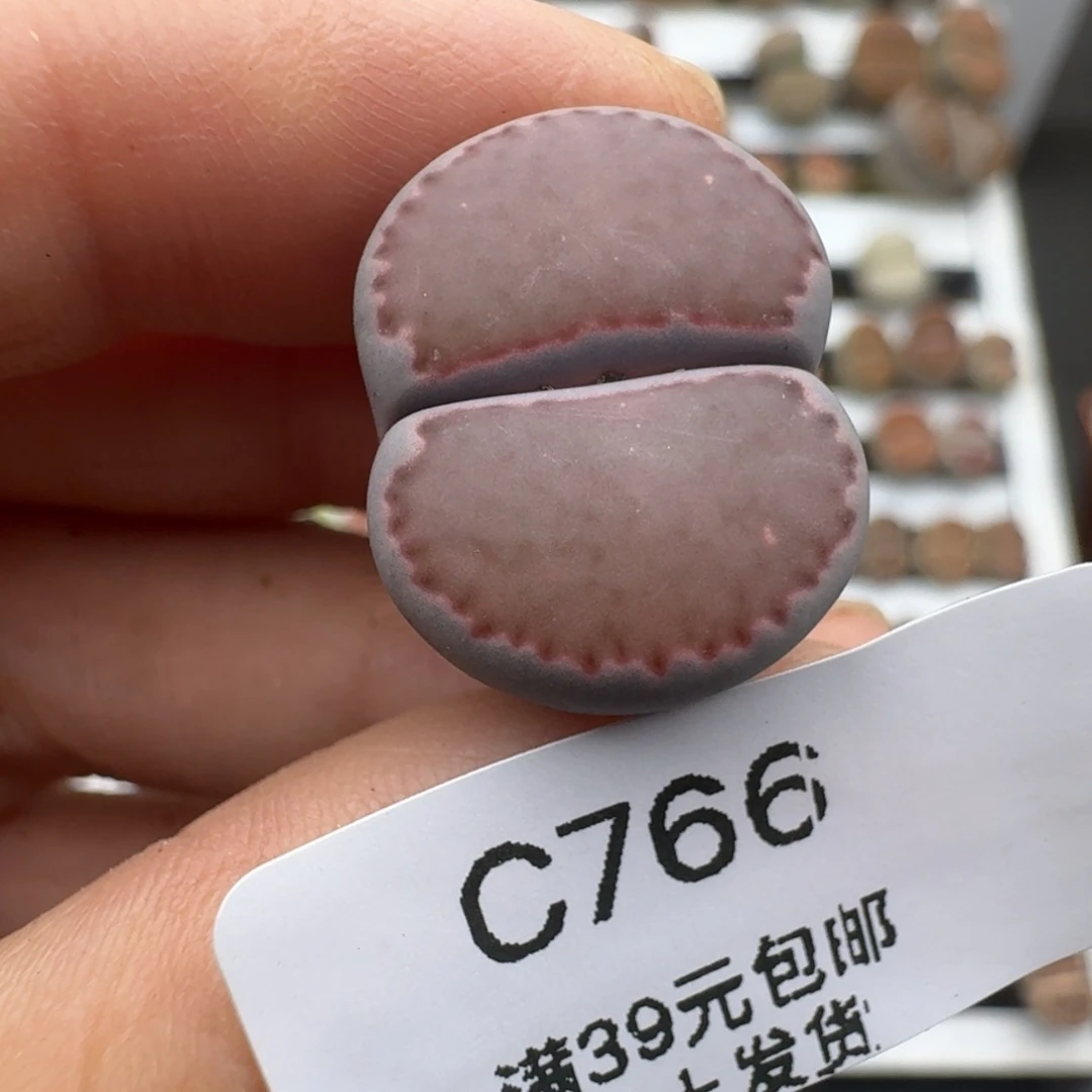 小****)39包邮766福利1111