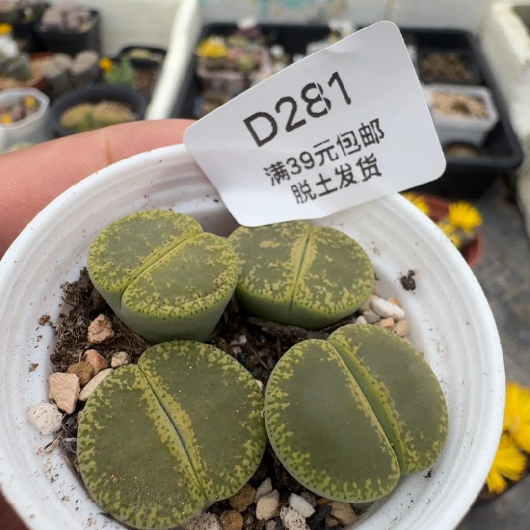 281哈哈哈哈哈哈哈哈哈