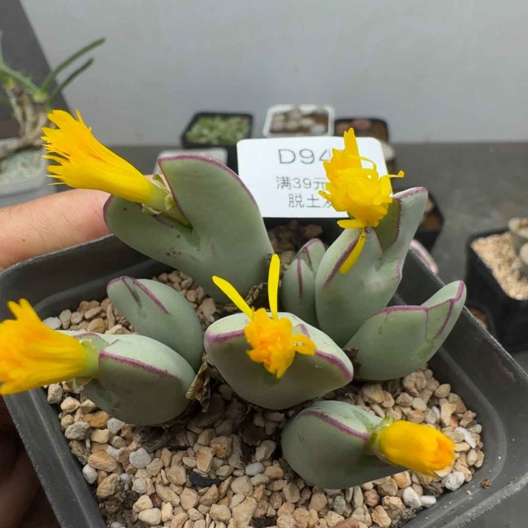 948哈哈哈哈哈哈哈哈哈哈