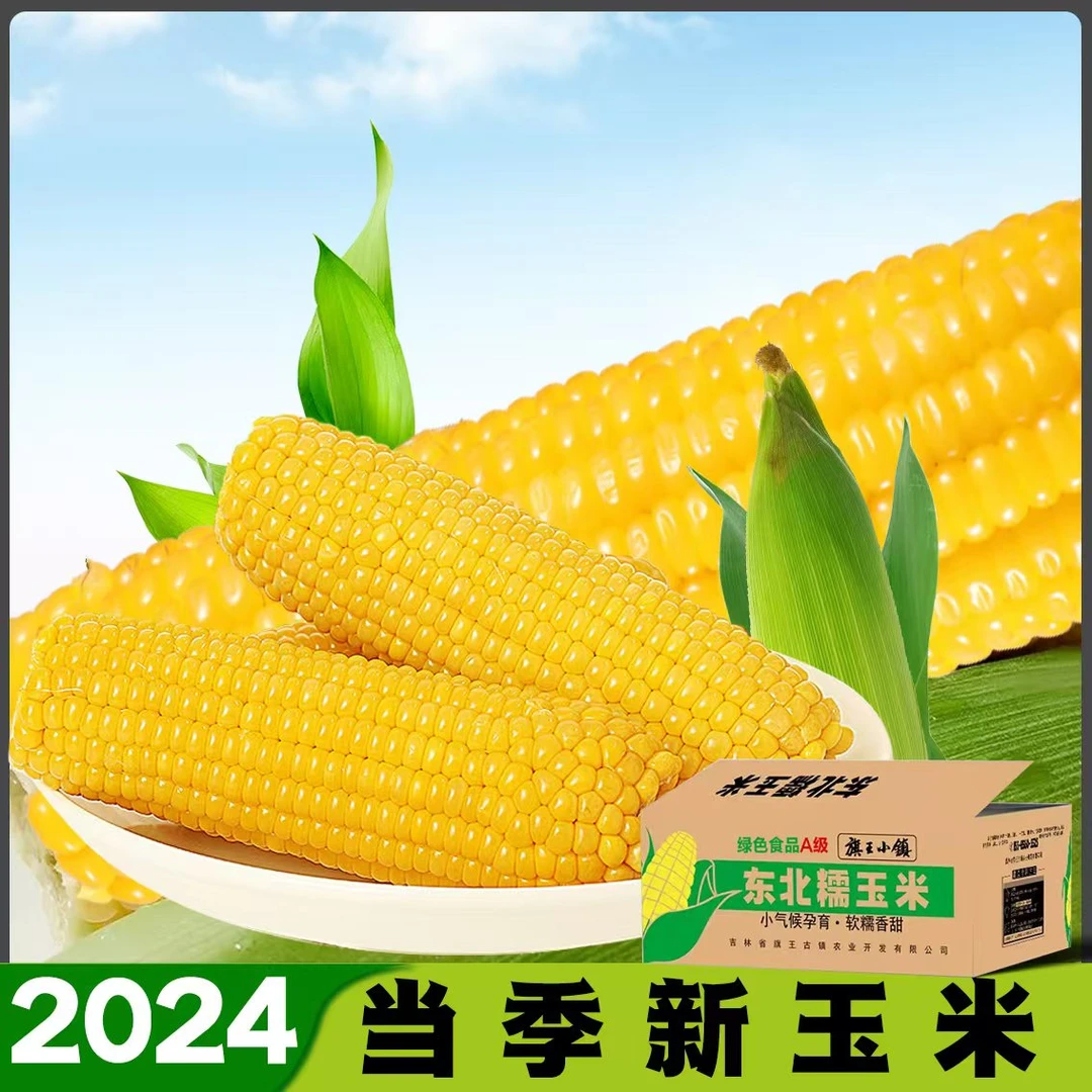 【试吃两根】2024东北头茬黄糯玉米拍10+2共12支7斤