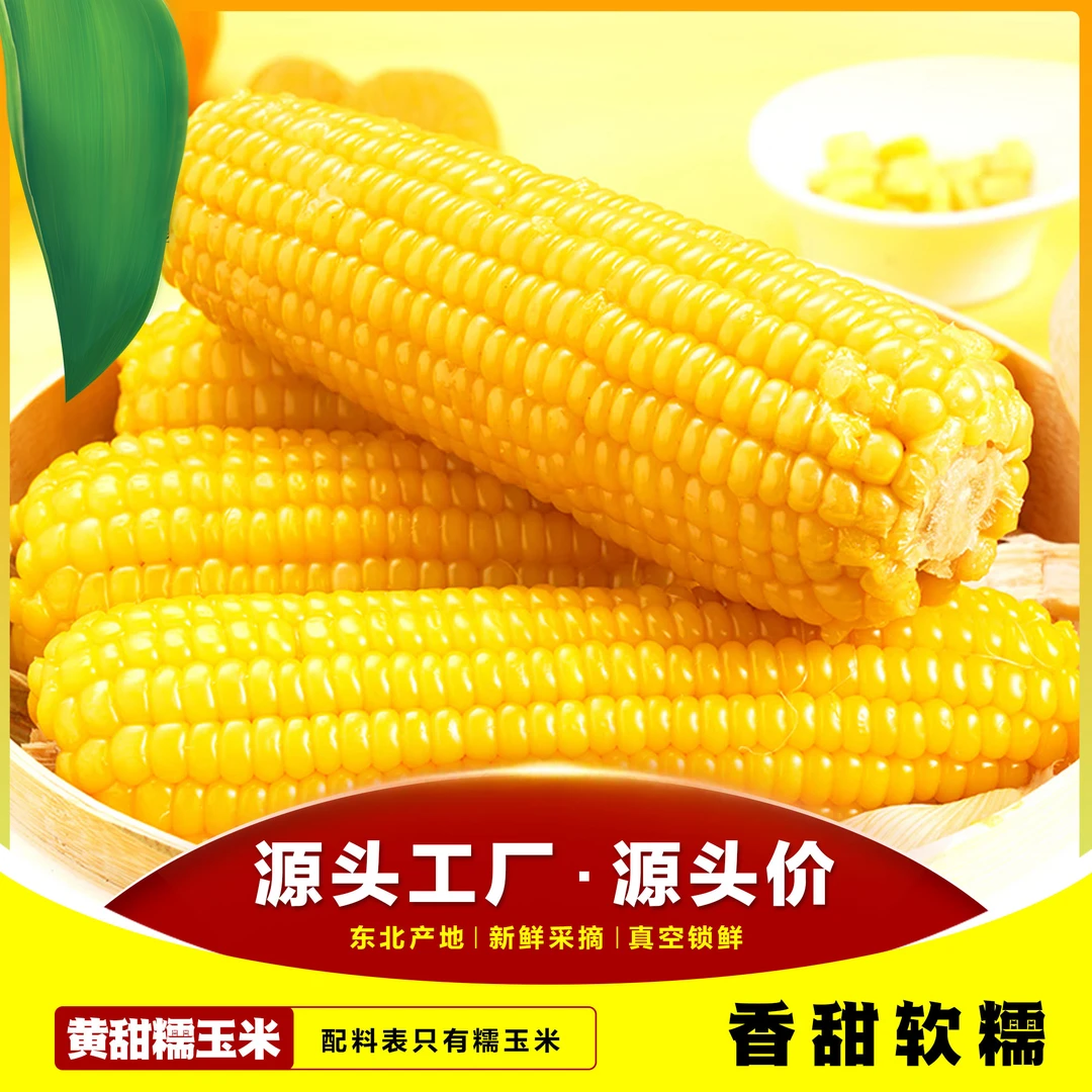 6黄+6白保6斤】锡纸黄甜粒白糯东北白糯玉米原产地直发甜糯营养