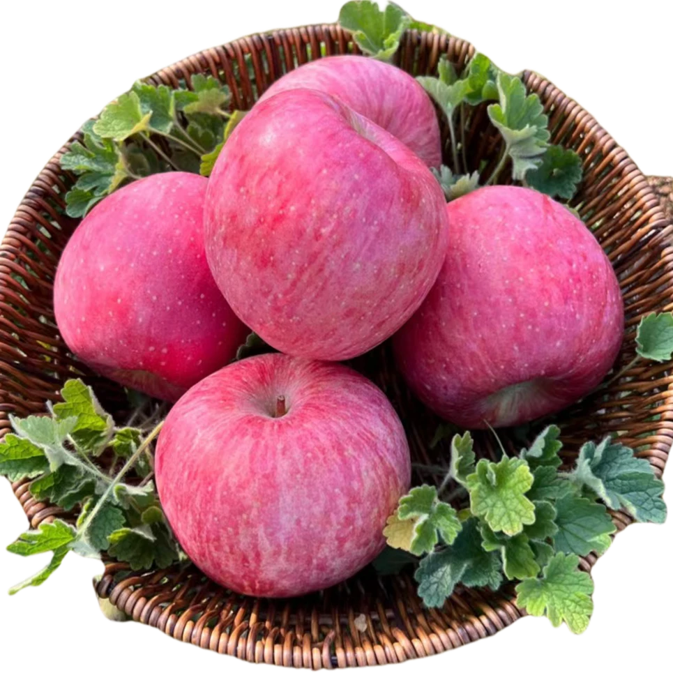 7陕西洛川红富士苹果8斤95超大果脆甜多汁新鲜水果香甜