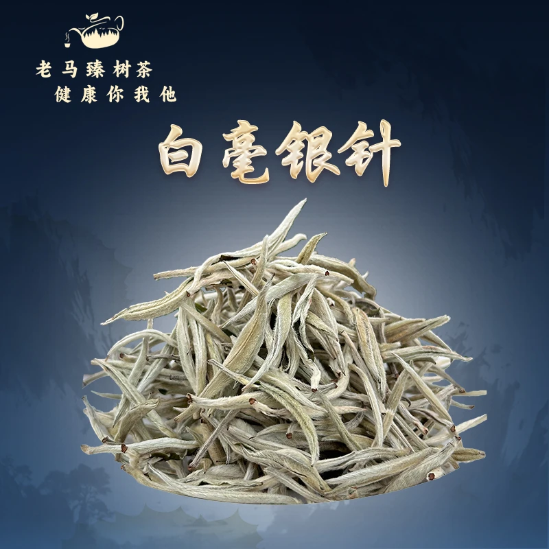 老马臻树  2024年白毫银针古树茶 散茶