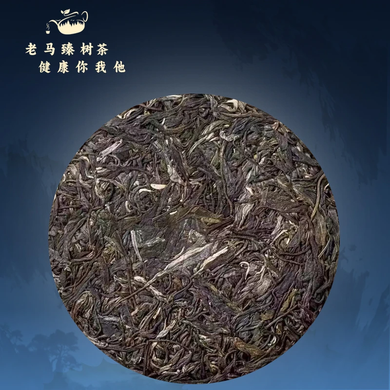 通用 老马臻树   2019年国有林357g 高货古树春茶