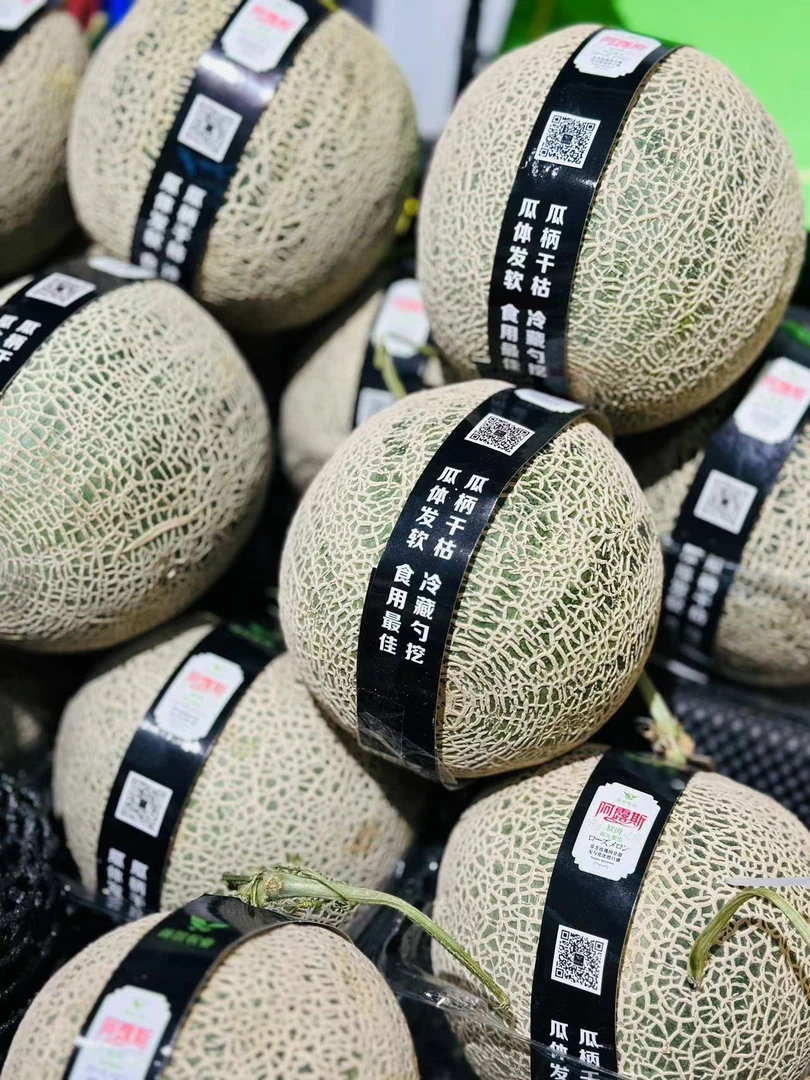 阿露斯网纹瓜（海南瓜）