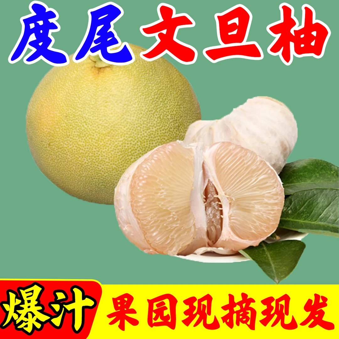 【超值底部小孔果】正宗福建仙游度尾文旦柚子新鲜现发果园批发2025