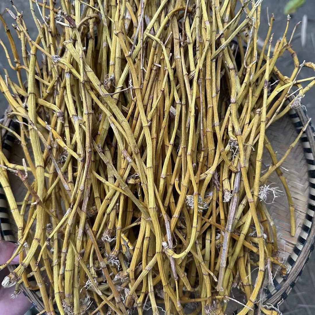 【土特产】云南高山精品虎牙石斛参250g
