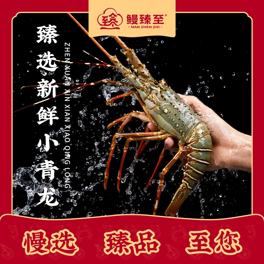 【500g】1只小青龙深海大龙虾野生活冻东山岛船冻鲜活顺丰包邮