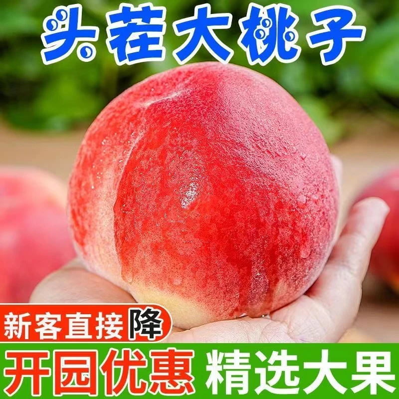 正宗山东蒙阴水蜜桃 新鲜应季孕妇水果 红皮白心脆甜爽口爆汁