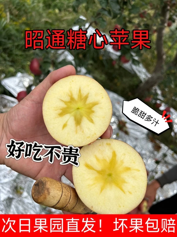 云南昭通丑苹果10.5斤（大果净重）24枚装脆甜多汁好吃不贵有糖心哦