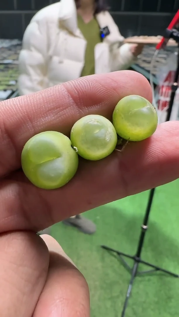 【闪购商品】10-4拉登(微瑕)一个一组