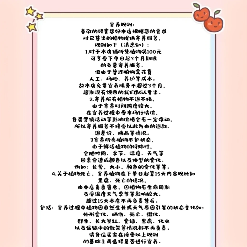 疯狂的多肉石头寄养必拍！！