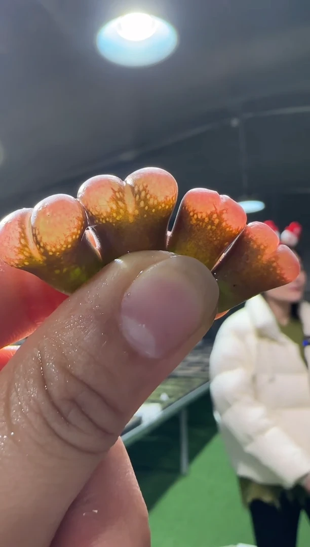 【闪购商品】23-370一个一组