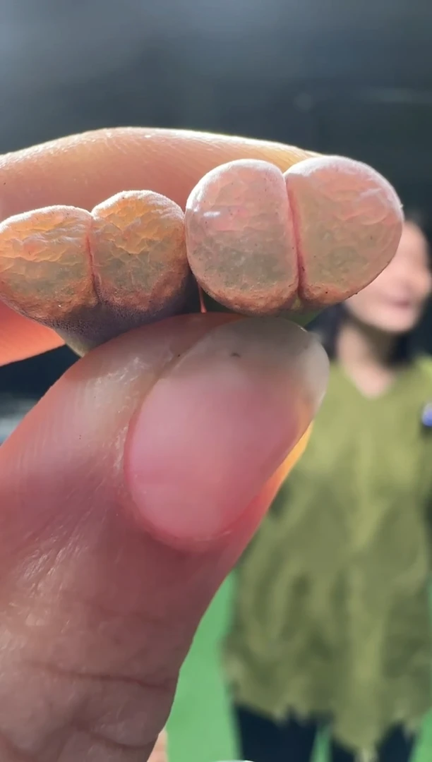 【闪购商品】10-27芭比粉一个一组
