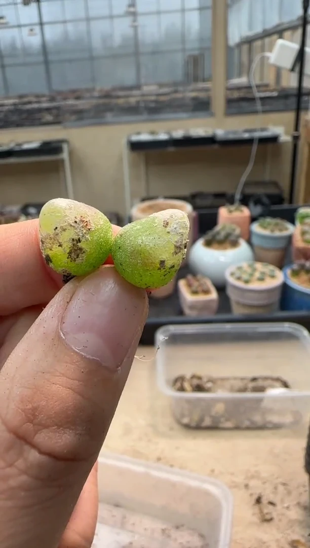 【闪购商品】27-64