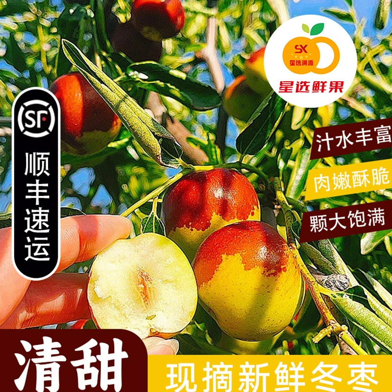 【星选】嘎甜正宗冬枣超甜脆爽舌尖上的甜蜜享受新鲜脆甜天然好滋味