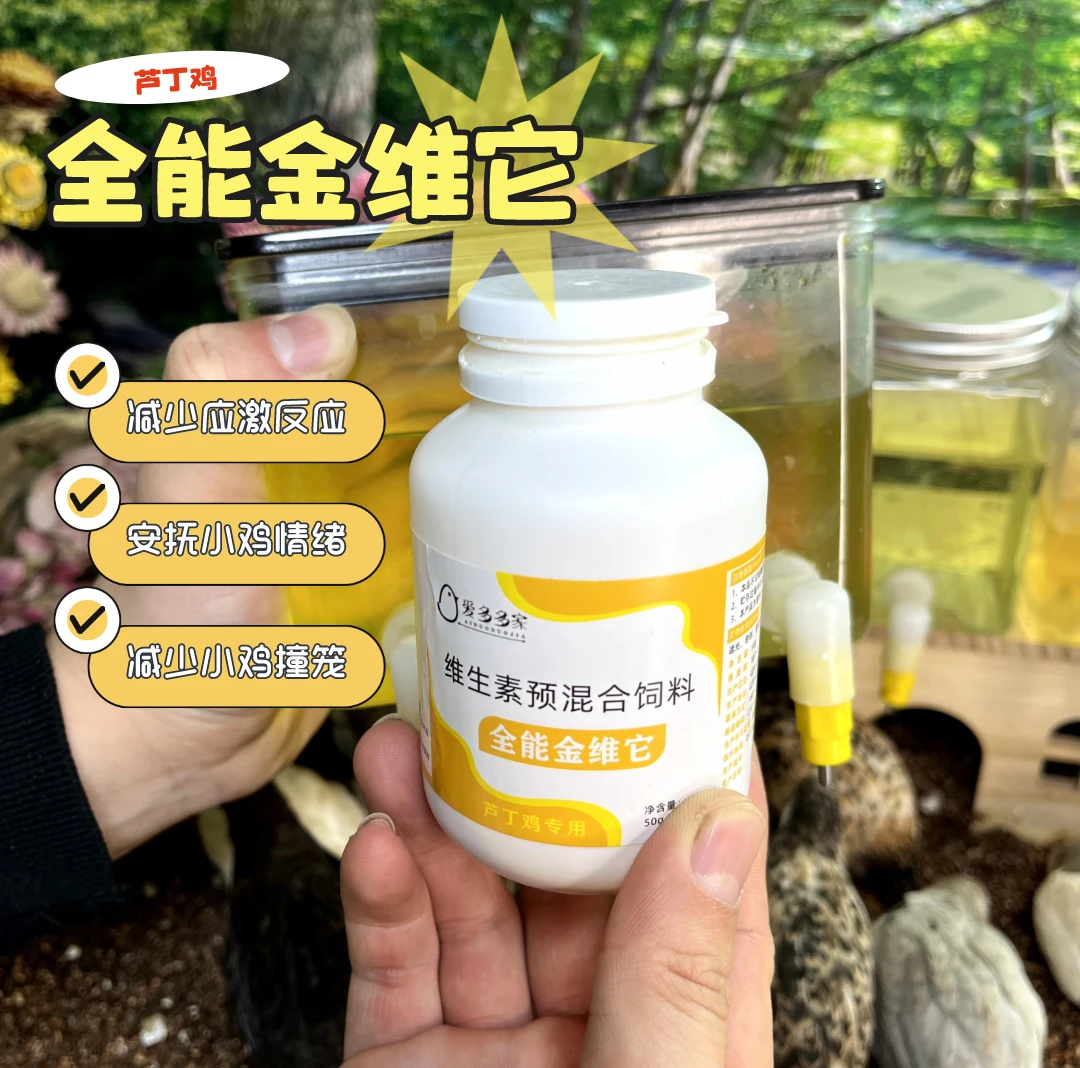 芦丁鸡专用36种金维他维生素电解质氨基酸多维鸟用亮毛异食抗应激