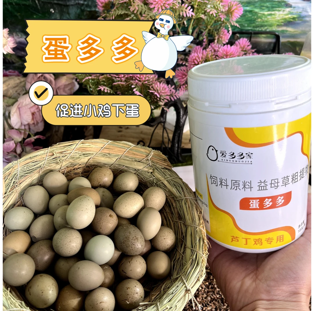 芦丁鸡蛋多多预混饲料鹌鹑增蛋延长产蛋高峰期防软蛋提升