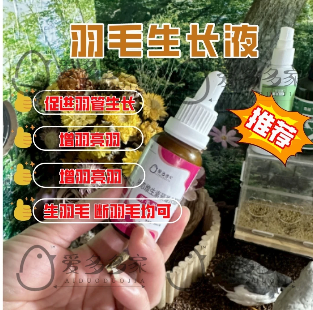 芦丁鸡羽毛生长液生羽断羽头顶秃毛专用生长液