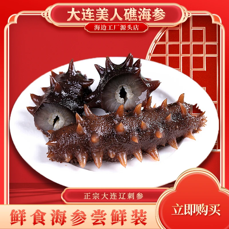 【日常无活动  无赠品】美人礁鲜食海参1斤装正宗大连辽参
